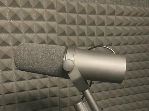 A broadcast microphone in front of acoustic foam.